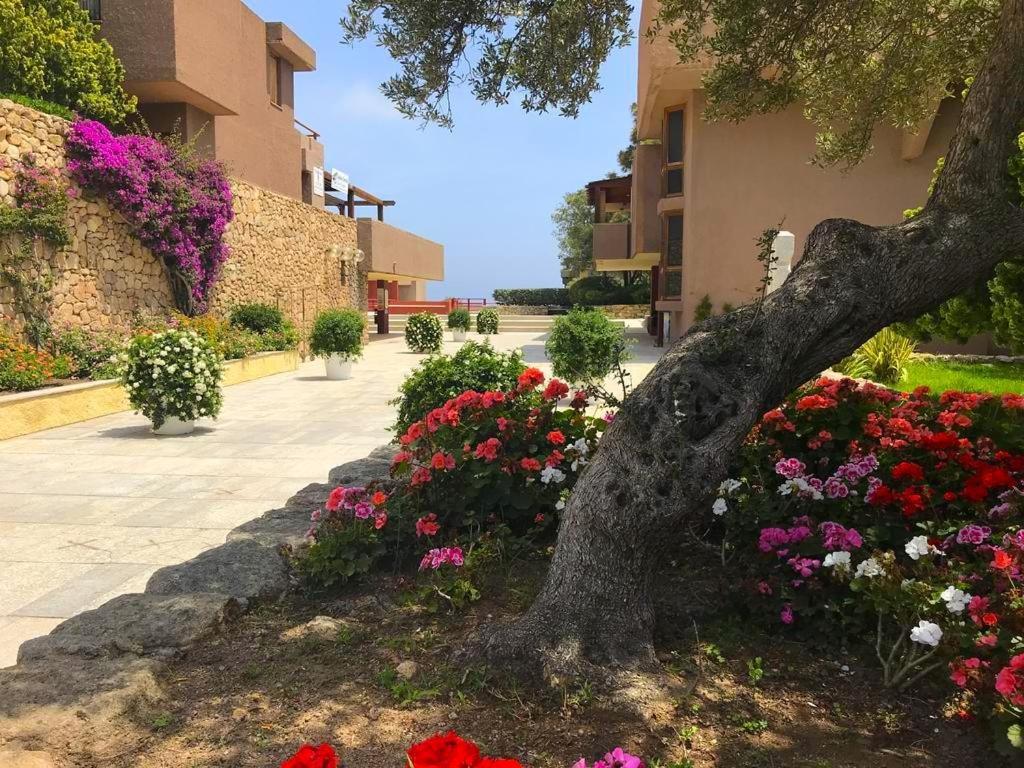 Rena Smeralda Beach Aparthotel